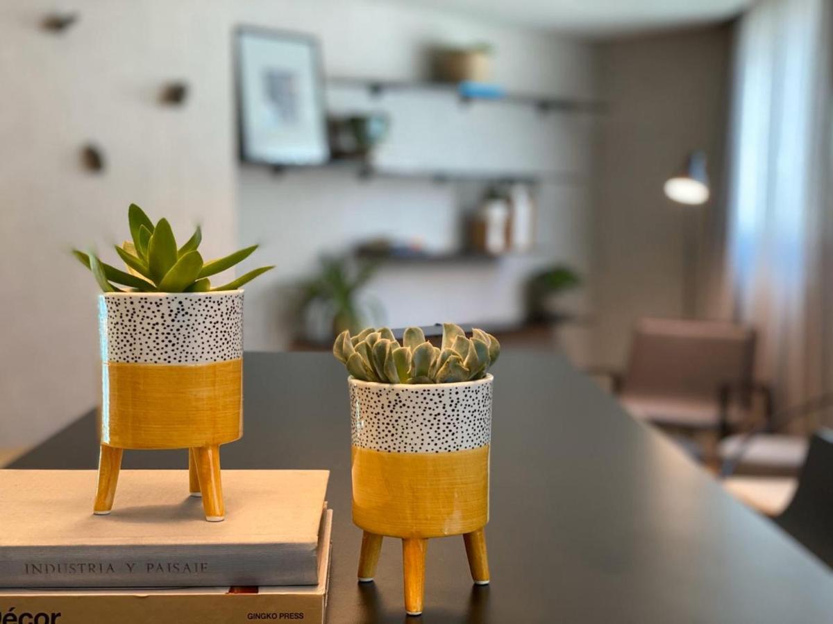 מלון סאו פאולו Radisson Oscar Freire מראה חיצוני תמונה Succulents in a home